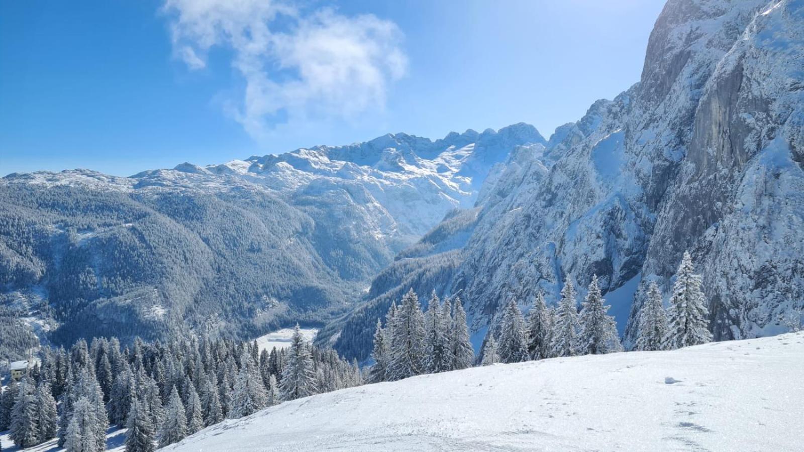 Dangos Mountainview Gosau Apartment Ngoại thất bức ảnh