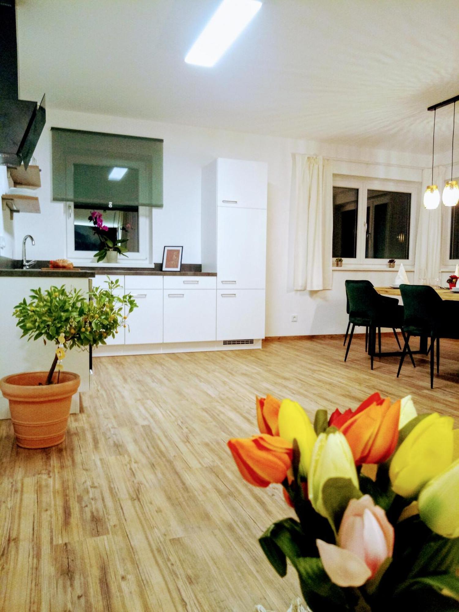 Dangos Mountainview Gosau Apartment Ngoại thất bức ảnh